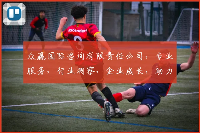 众赢国际咨询有限责任公司，专业服务，行业洞察，企业成长，助力发展，共赢未来